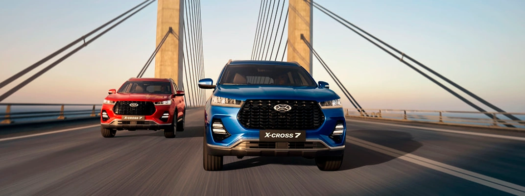 Купить XCITE в вашем городе